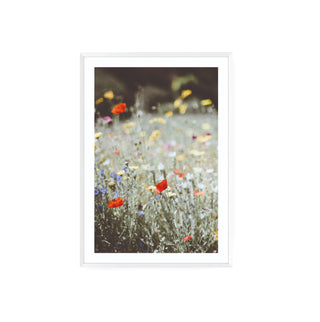 Cuadro Flores Silvestres