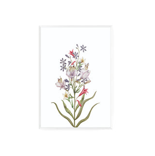 Ramo de Flores II - La Jota Ilustraciones