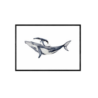 Ballena Jorobada y cría - La Jota Illustraciones