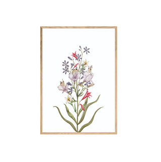 Ramo de Flores II - La Jota Ilustraciones