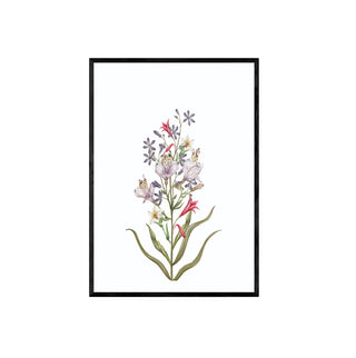 Ramo de Flores II - La Jota Ilustraciones