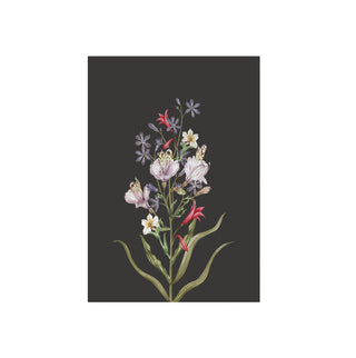 Ramo de Flores I - La Jota Ilustraciones