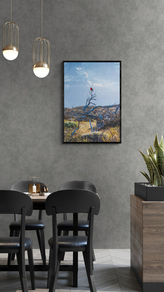 Torres del Paine Loica - Francisco Pérez