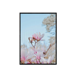 Cuadro Magnolio III - Fine Art Botánico | Artenigma