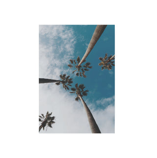 Palmera II