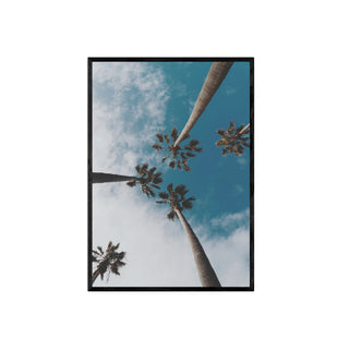 Palmera II - Fine Art Botánico | Artenigma