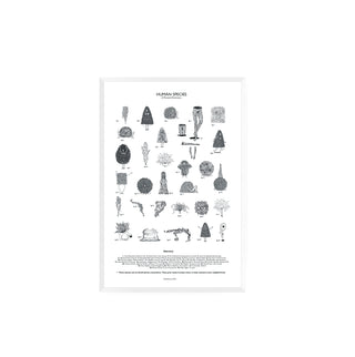 Human Species - Tinta Viva