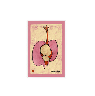 Estudio Granada I - Tinta Viva