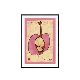 Estudio Granada I - Tinta Viva