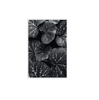 Black Leaves
