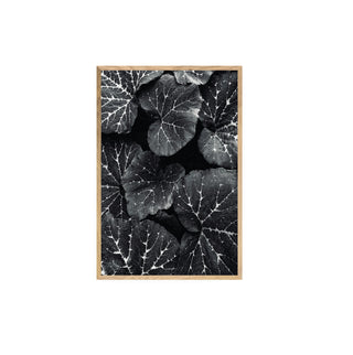 Black Leaves