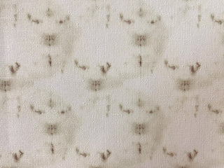 Etereo Café - $19.000 M2