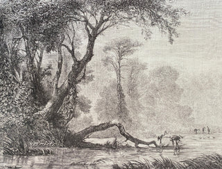 Laguna Dibujada - $19.000 M2