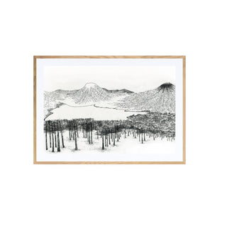 Lonquimay - Catalina Fischer