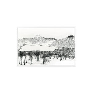 Lonquimay - Catalina Fischer