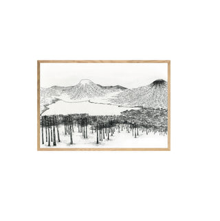 Lonquimay - Catalina Fischer