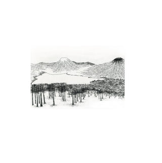 Lonquimay - Catalina Fischer