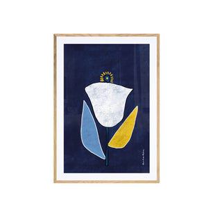 Rosa Blanca - Tinta Viva