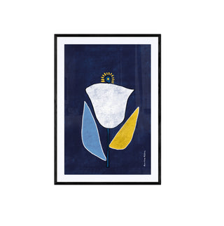 Rosa Blanca - Tinta Viva