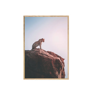 Leopardo
