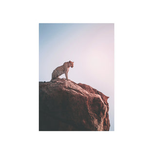 Leopardo