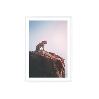 Leopardo