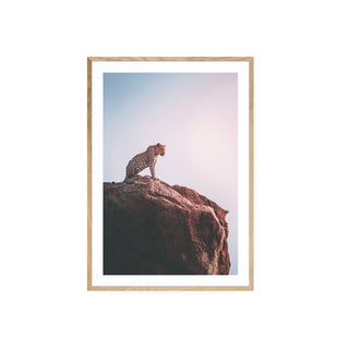 Leopardo