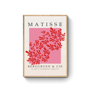Coral - Henri Matisse
