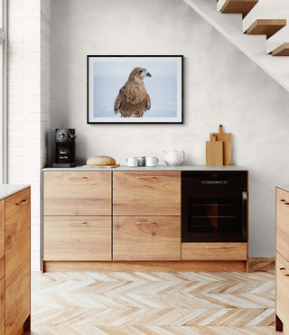 Tiuque - Beatriz Schneider