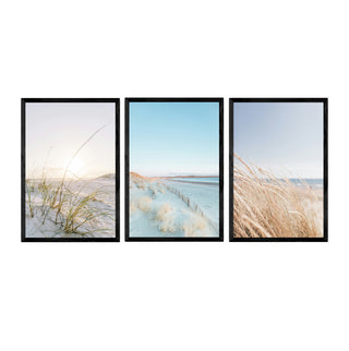 Set Flora Marítima de 3 cuadros decorativos de playa y dunas en tonos suaves enmarcado en negro
