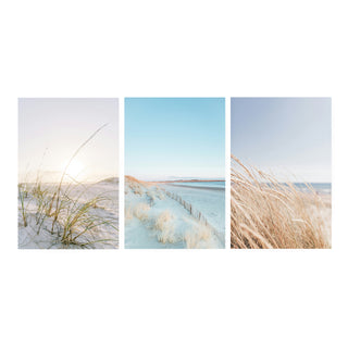 Set Flora Marítima de 3 cuadros decorativos de playa y dunas en tonos suaves